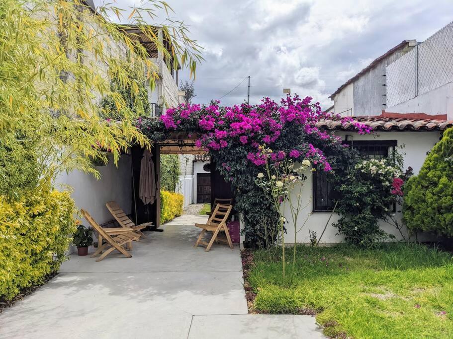 Casa Mua Ξενοδοχείο San Cristóbal de Las Casas Εξωτερικό φωτογραφία