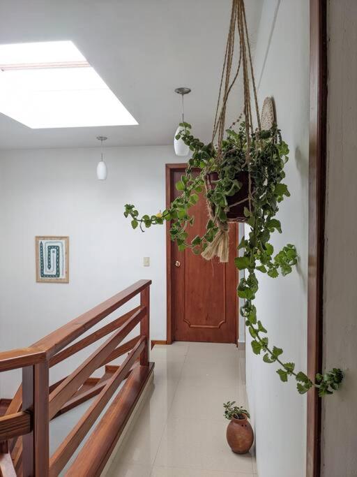 Casa Mua Ξενοδοχείο San Cristóbal de Las Casas Εξωτερικό φωτογραφία