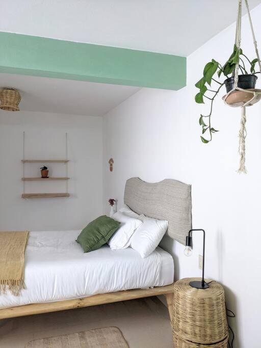 Casa Mua Ξενοδοχείο San Cristóbal de Las Casas Δωμάτιο φωτογραφία